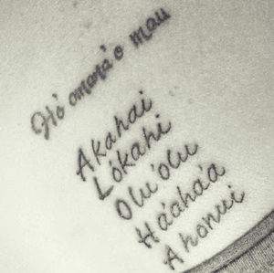 Meet your Posher, Naomi